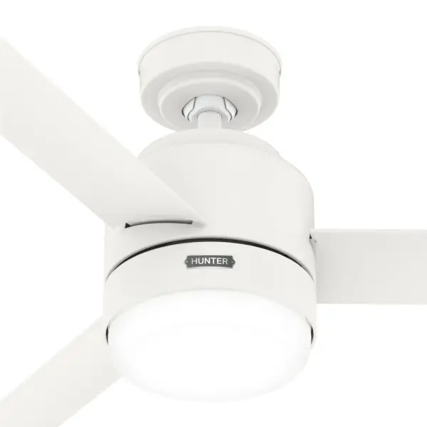 The Ceiling Fans by Hunter - Image 39