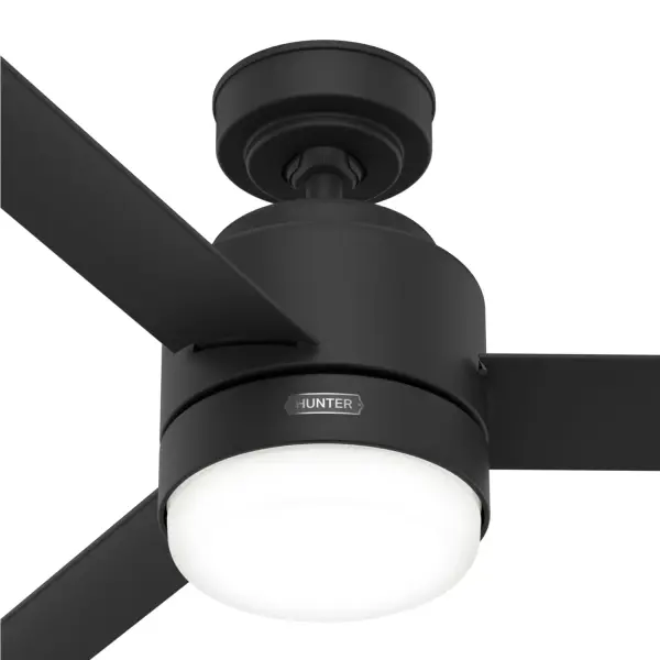 The Ceiling Fans by Hunter - Image 40
