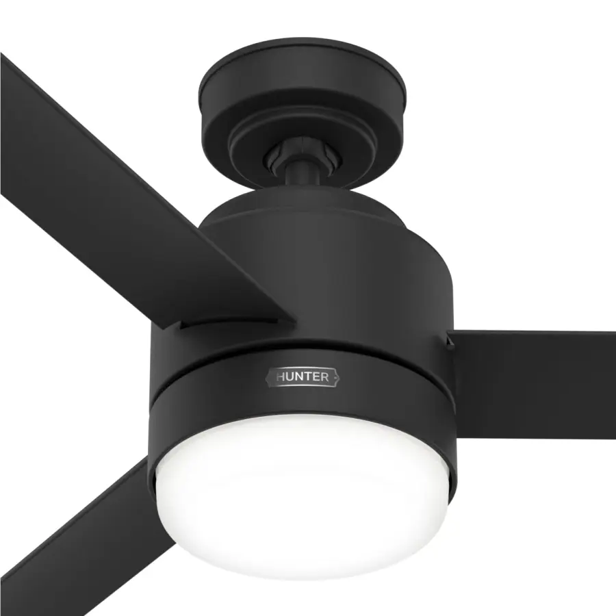 The Ceiling Fans by Hunter - Image 40