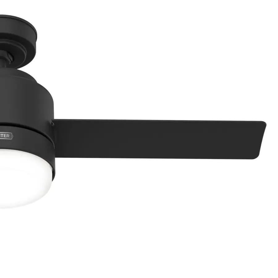 The Ceiling Fans by Hunter - Image 43
