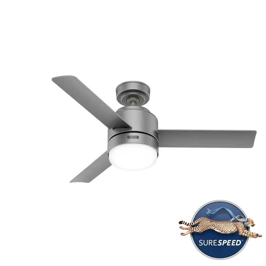 The Ceiling Fans by Hunter - Image 44