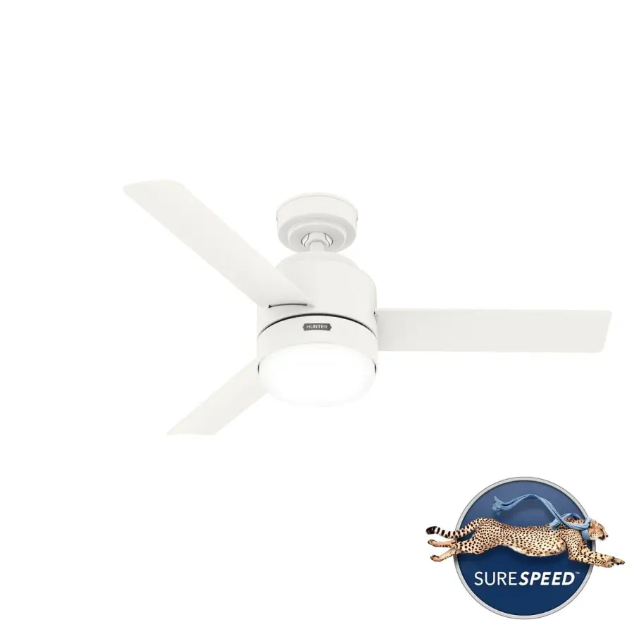 The Ceiling Fans by Hunter - Image 45