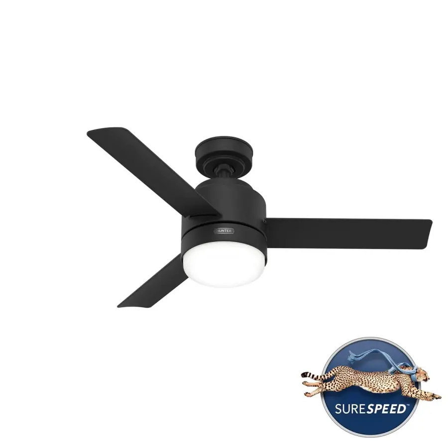 The Ceiling Fans by Hunter - Image 46