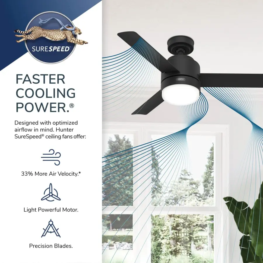 The Ceiling Fans by Hunter - Image 48