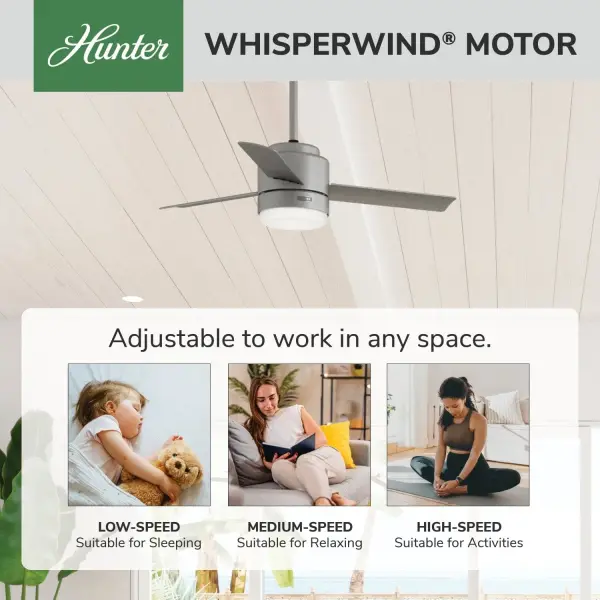 The Ceiling Fans by Hunter - Image 50