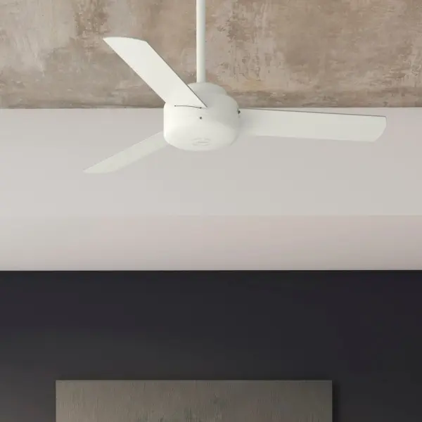 The Ceiling Fans by Hunter - Image 11