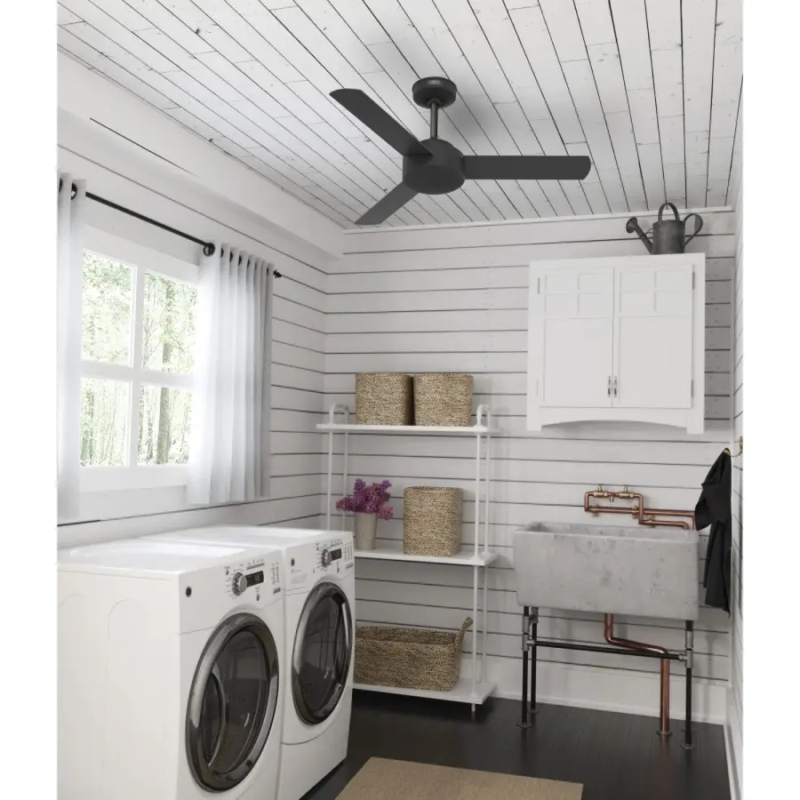 The Ceiling Fans by Hunter - Image 13