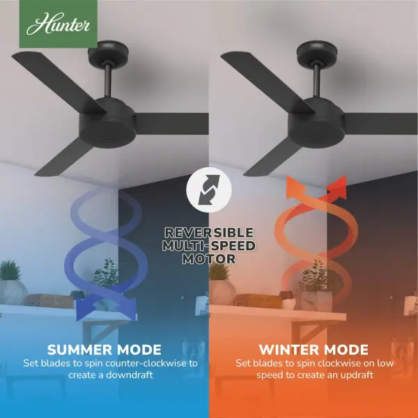 The Ceiling Fans by Hunter - Image 16
