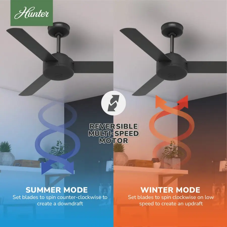The Ceiling Fans by Hunter - Image 16