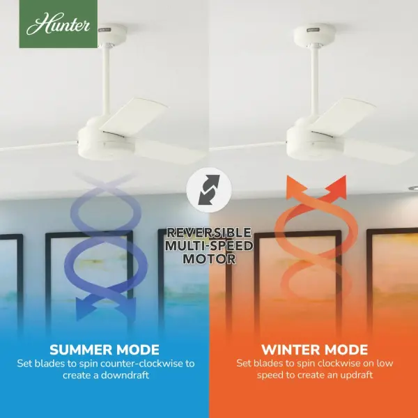 The Ceiling Fans by Hunter - Image 17