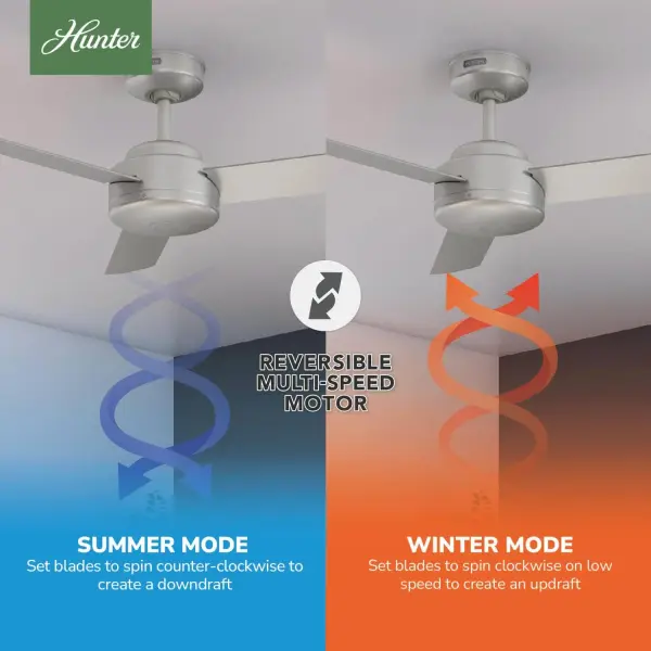The Ceiling Fans by Hunter - Image 18
