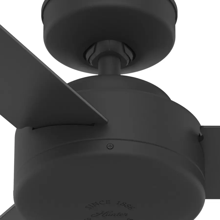 The Ceiling Fans by Hunter - Image 34
