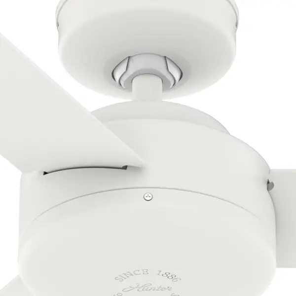 The Ceiling Fans by Hunter - Image 35