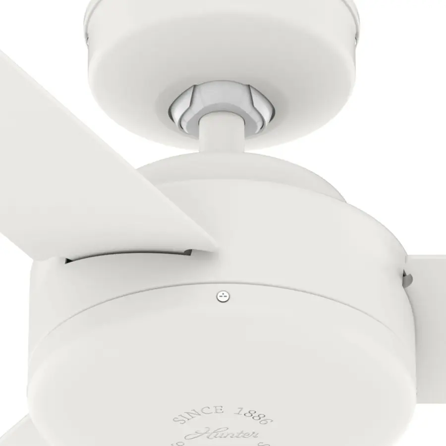 The Ceiling Fans by Hunter - Image 35