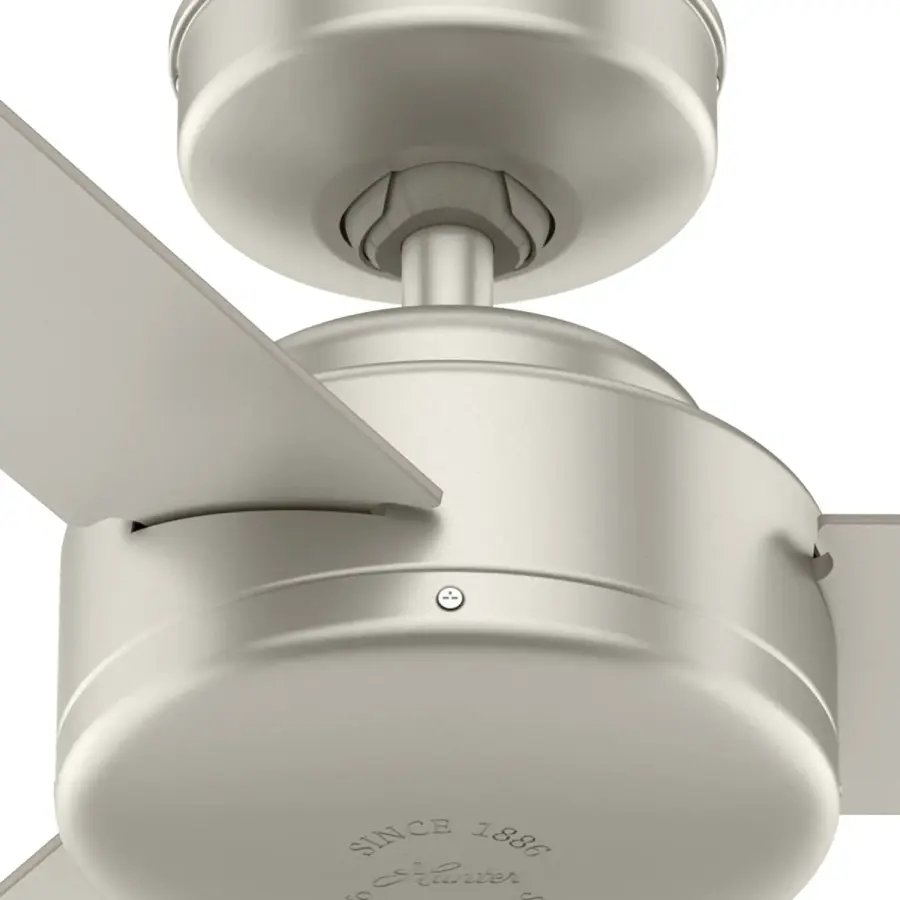 The Ceiling Fans by Hunter - Image 36