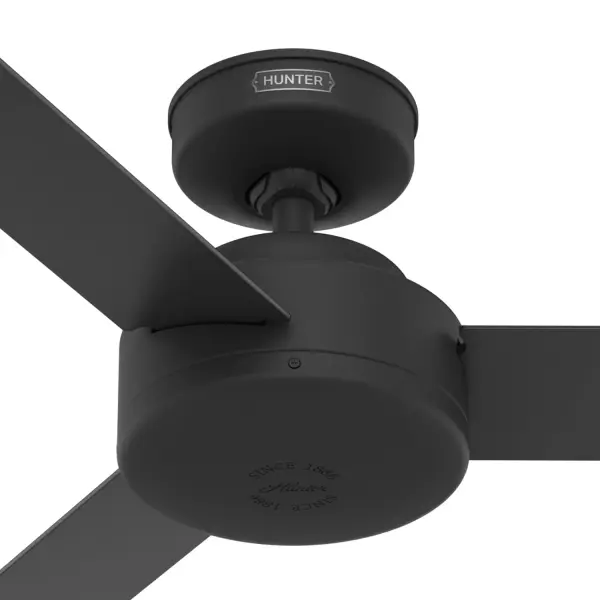The Ceiling Fans by Hunter - Image 37