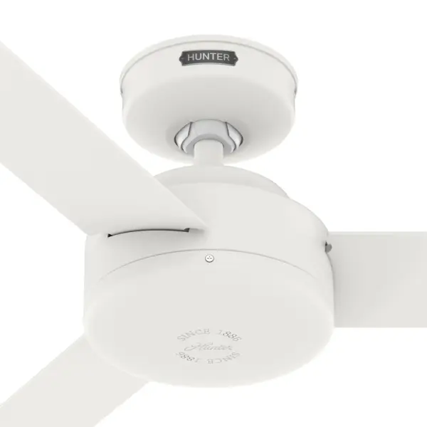 The Ceiling Fans by Hunter - Image 38