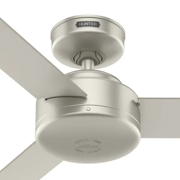 The Ceiling Fans by Hunter - Image 39