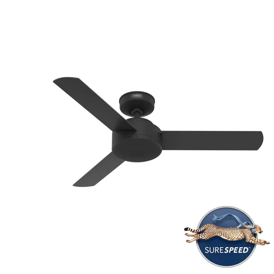 The Ceiling Fans by Hunter - Image 43