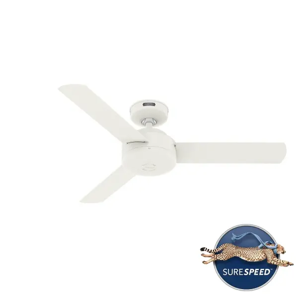 The Ceiling Fans by Hunter - Image 44