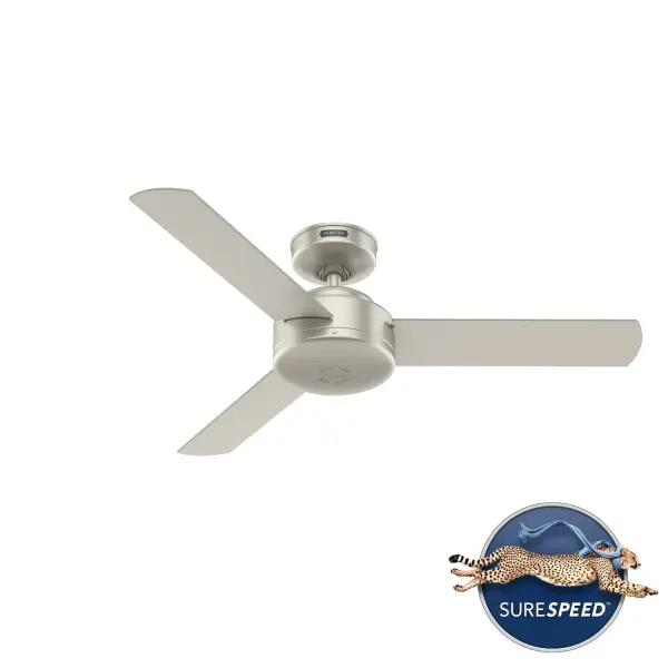 The Ceiling Fans by Hunter - Image 45