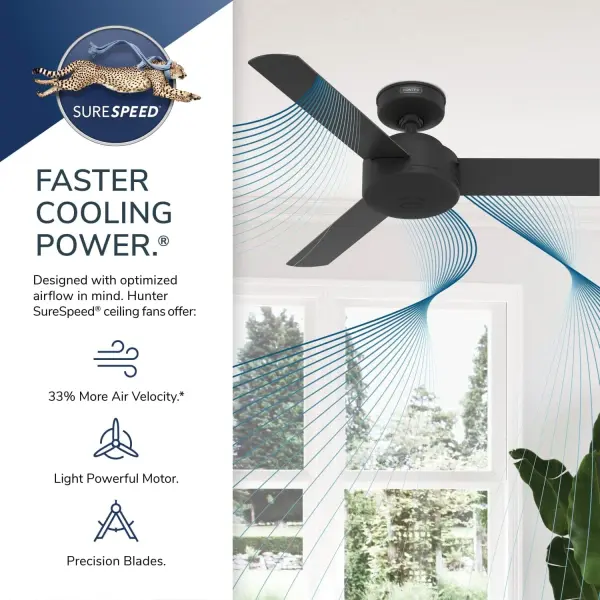 The Ceiling Fans by Hunter - Image 46