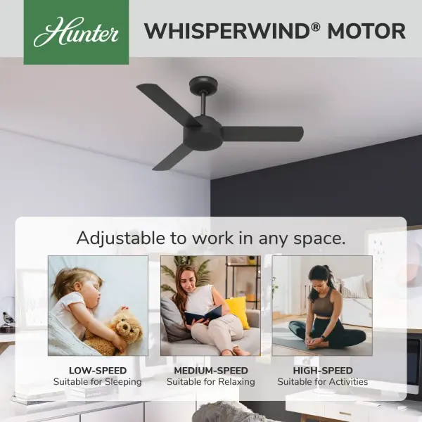 The Ceiling Fans by Hunter - Image 49