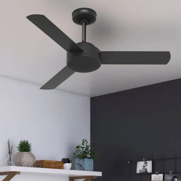 The Ceiling Fans by Hunter - Image 10