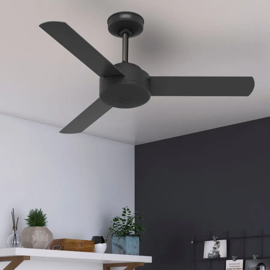 The Ceiling Fans by Hunter - Image 10