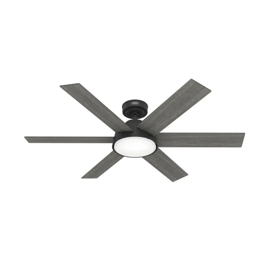 The Ceiling Fans by Hunter - Image 1