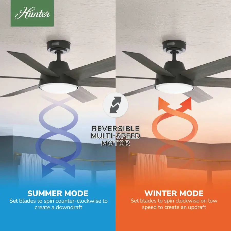 The Ceiling Fans by Hunter - Image 12