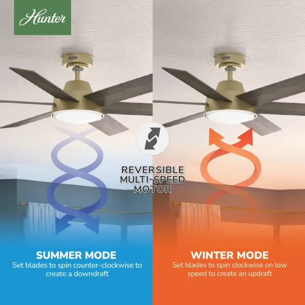 The Ceiling Fans by Hunter - Image 13