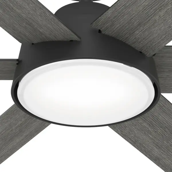 The Ceiling Fans by Hunter - Image 20