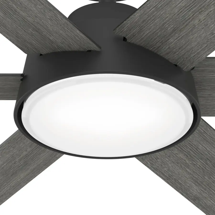 The Ceiling Fans by Hunter - Image 20