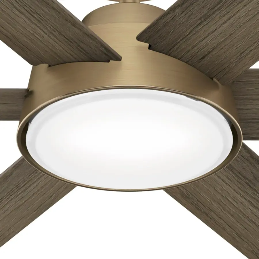 The Ceiling Fans by Hunter - Image 21