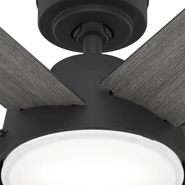 The Ceiling Fans by Hunter - Image 24