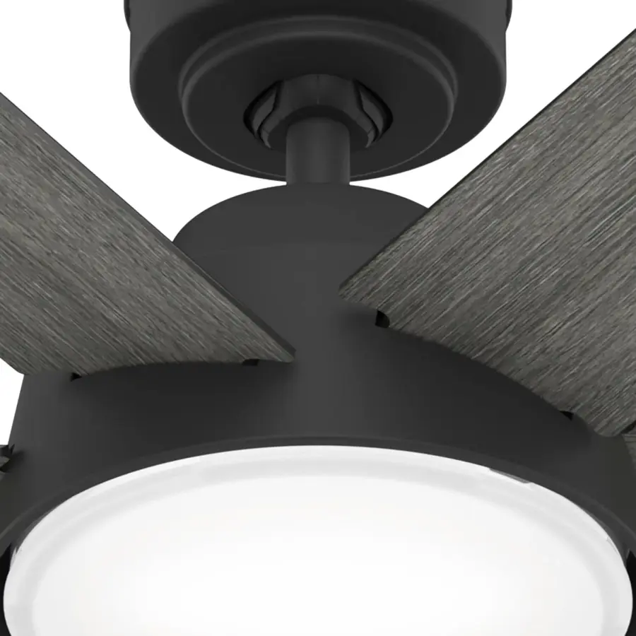 The Ceiling Fans by Hunter - Image 24