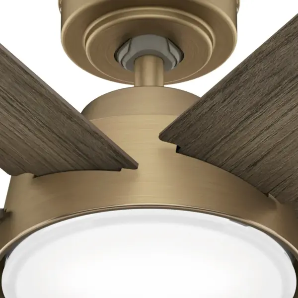 The Ceiling Fans by Hunter - Image 25