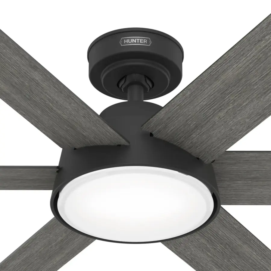 The Ceiling Fans by Hunter - Image 26