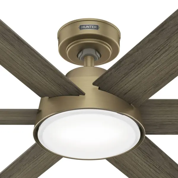 The Ceiling Fans by Hunter - Image 27