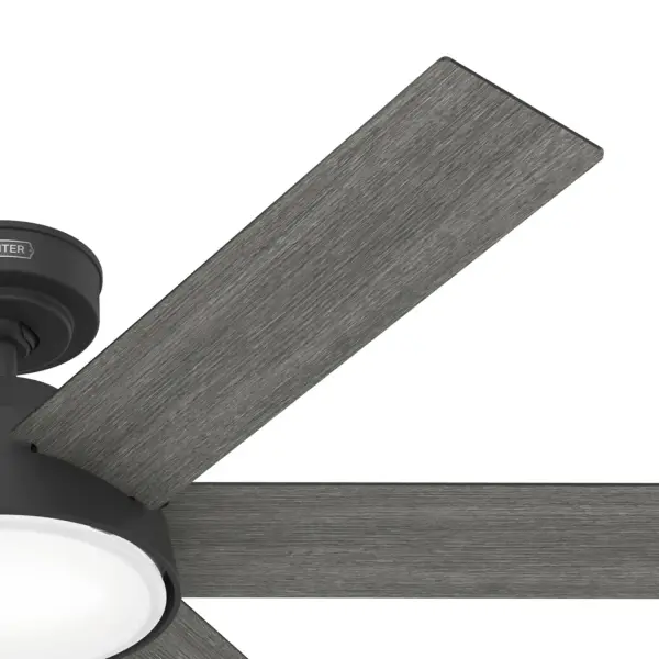 The Ceiling Fans by Hunter - Image 28