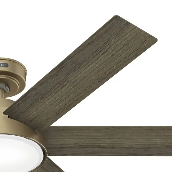 The Ceiling Fans by Hunter - Image 29