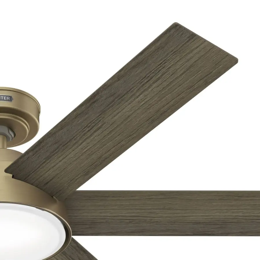 The Ceiling Fans by Hunter - Image 29