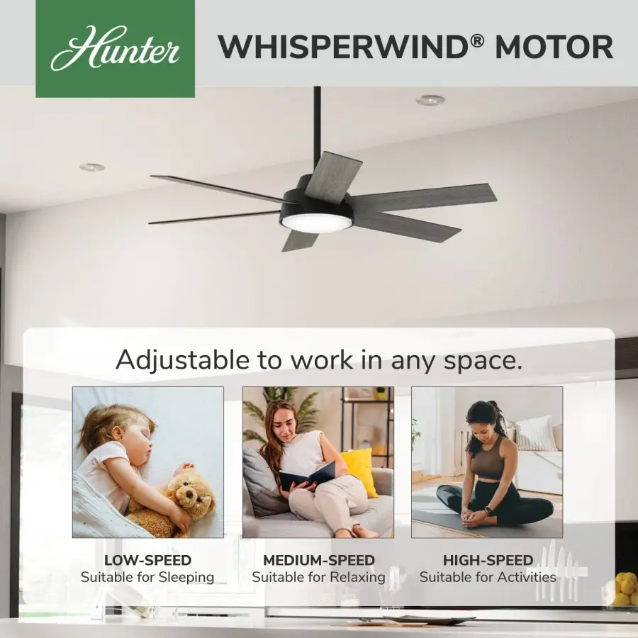 The Ceiling Fans by Hunter - Image 30