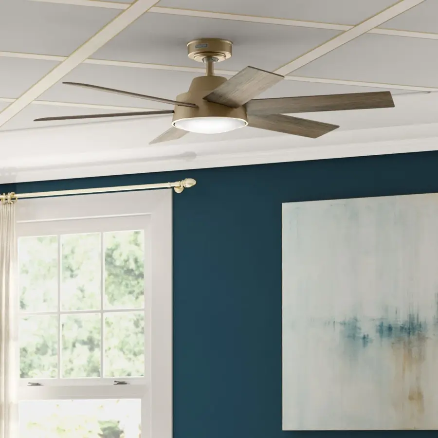The Ceiling Fans by Hunter - Image 8