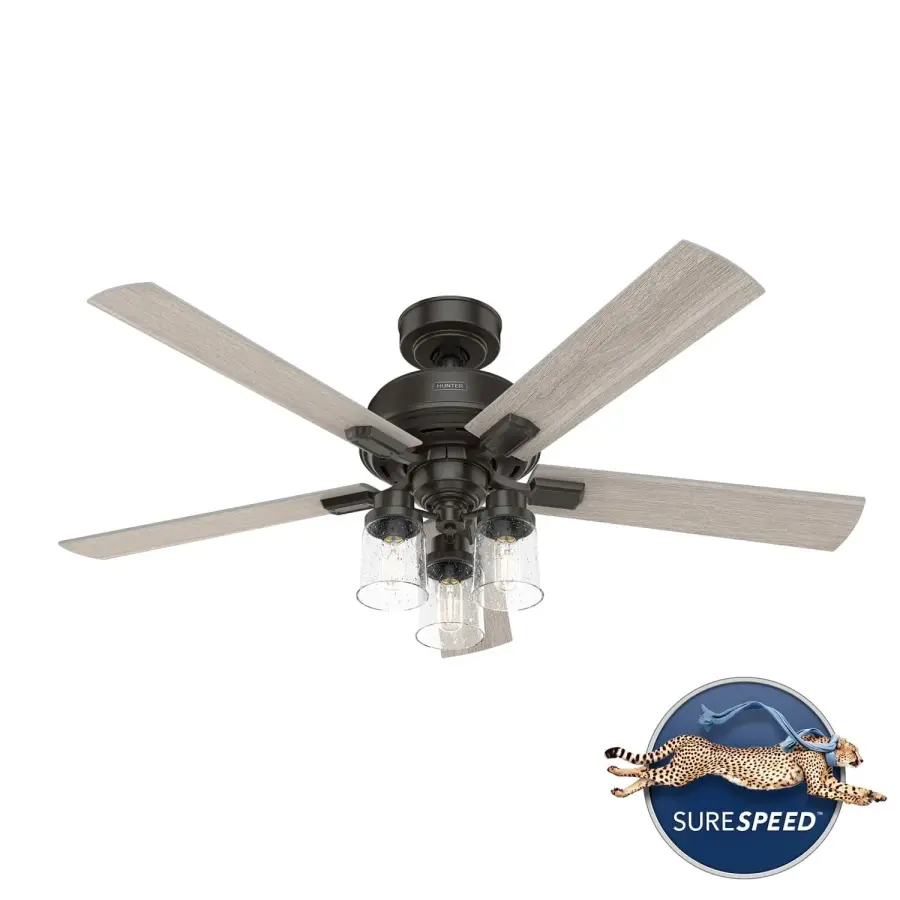 The Ceiling Fans by Hunter - Image 12