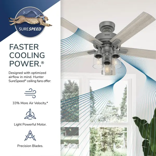 The Ceiling Fans by Hunter - Image 13