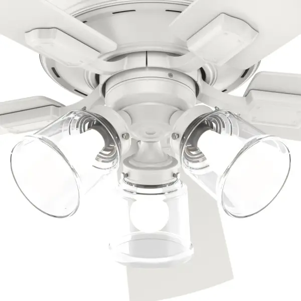 The Ceiling Fans by Hunter - Image 34