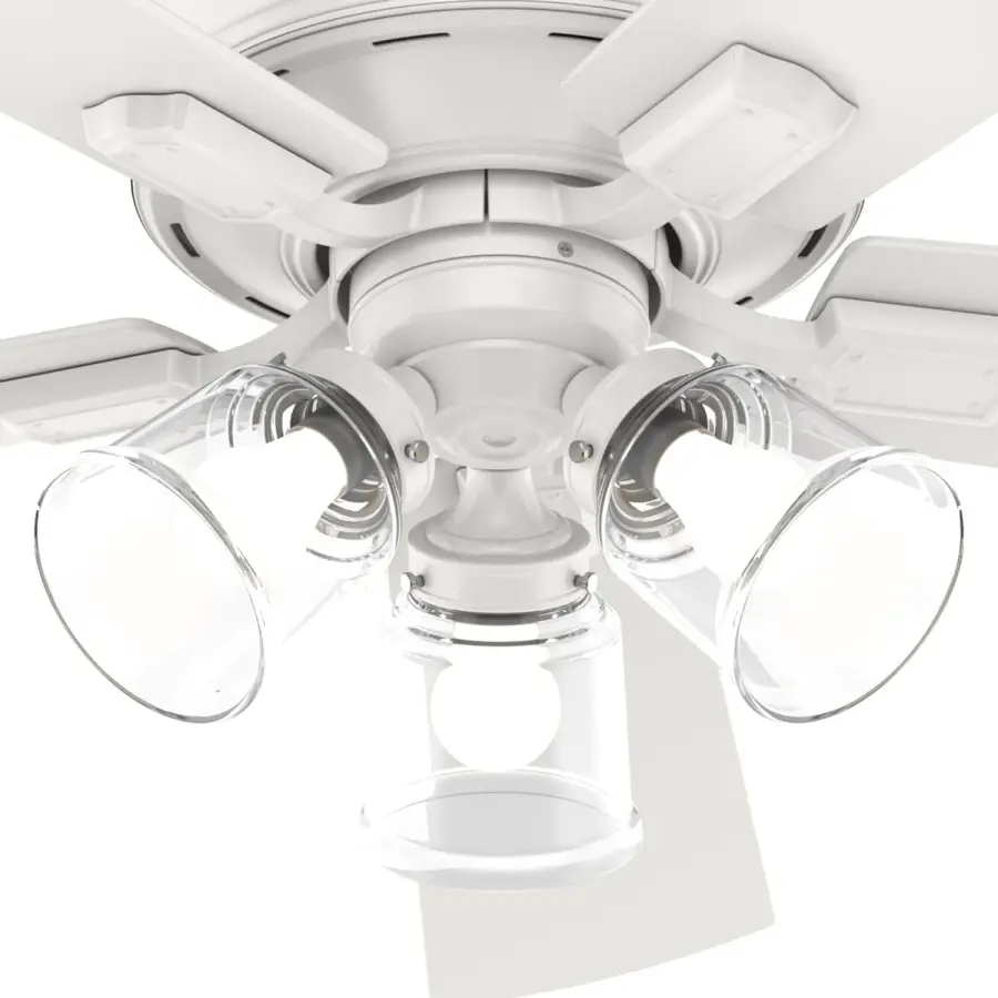 The Ceiling Fans by Hunter - Image 34