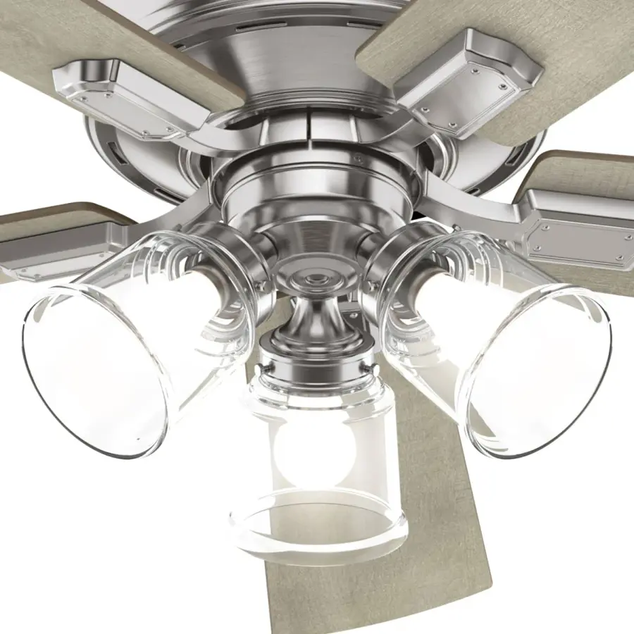 The Ceiling Fans by Hunter - Image 35